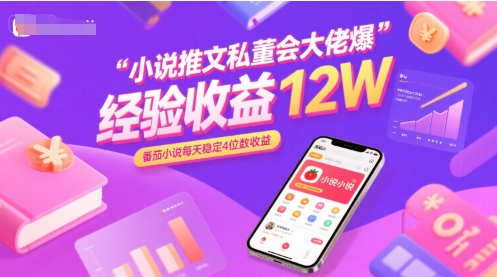 小说推文私董会大佬爆单经验分享收益12W，番茄小说每天稳定4位数收益-项目网