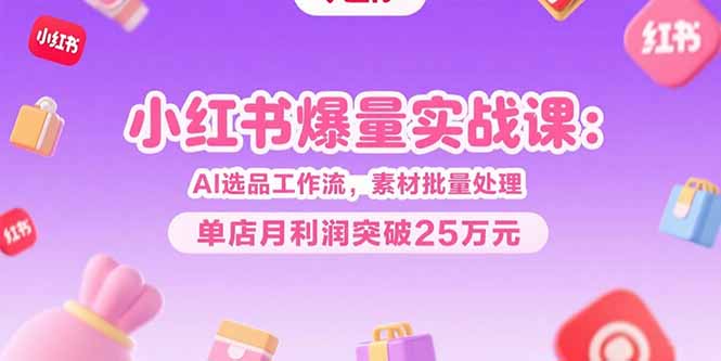 小红书爆量实战课：AI选品工作流，素材批量处理，单店月利润突破25万元-项目网