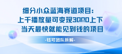 小众蓝海赛道项目：当天变现1k+适合新手操作 +适合长期玩-项目网