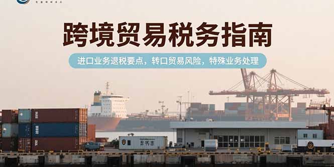 跨境贸易税务指南，进口业务退税要点，转口贸易风险，特殊业务处理-项目网