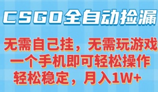 CSGO自动捡漏项目，最新独家玩法，一个手机可操作，新手小白轻松月入1W+，操作简单易上手【揭秘】-项目网