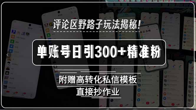 评论区野路子玩法揭秘！单账号日引300+精准粉，附赠高转化私信模板，直…-项目网