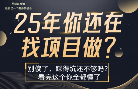 25年，你还在疯狂的找项目吗？别傻了，看完这个你都懂了【揭秘】-项目网