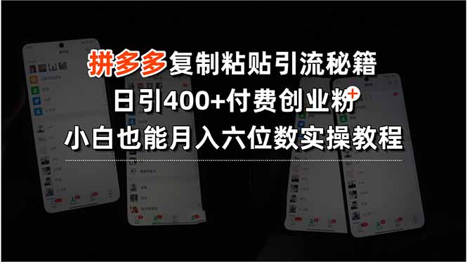 拼多多复制粘贴引流秘籍，日引400+付费创业粉，小白也能月入六位数实操…-项目网