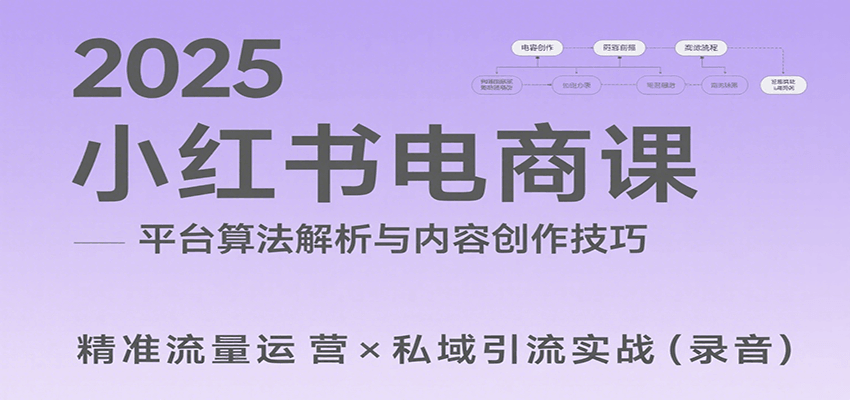 2025小红书电商课：解析算法，创作高转化内容，助力卖家获取流量实现变现(录音)-项目网
