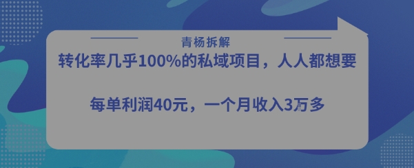 转化率最高的私域项目，每单利润40-50米，月入过1w-项目网