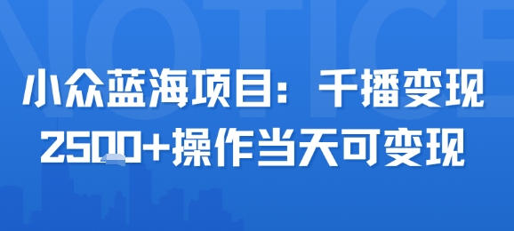 小众蓝海项目，千播变现2.5k+操作当天可变现-项目网