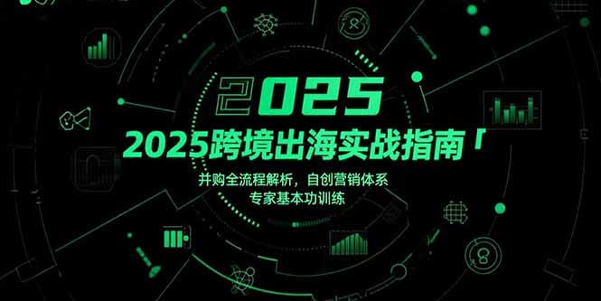 2025跨境出海实战指南，并购全流程解析，自创营销体系，专家基本功训练-项目网