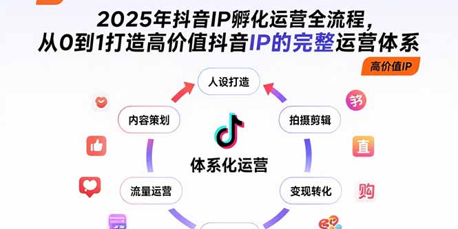 2025年抖音IP孵化运营全流程，从0到1打造高价值抖音IP的完整运营体系-项目网