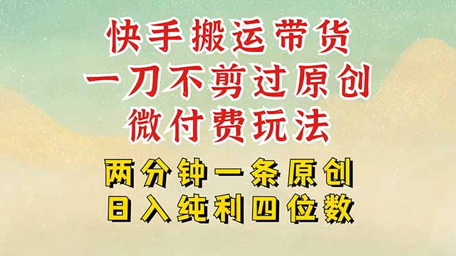 快手黑科技搬运带货，一刀不剪过原创，微付费投流玩法，轻松日入四位数…-项目网