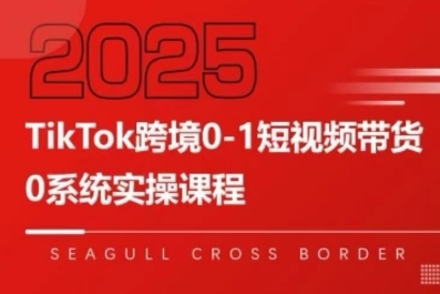 TikTok跨境0-1短视频带货，系统拆解TikTok跨境带货全链路，实现跨境可持续盈利-项目网