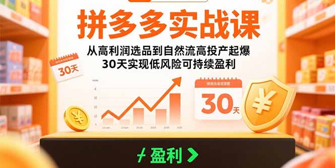 拼多多实战课：从高利润选品到自然流高投产起爆 30天实现低风险可持续盈利-项目网