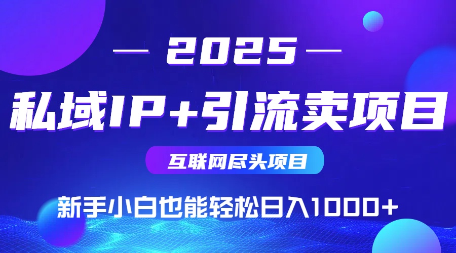 2025网创尽头项目，私域IP+引流，新手小白也能在家日入1000+-项目网