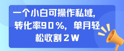 一个小白可操作私域，转化率90%，单月轻松收割2W-项目网