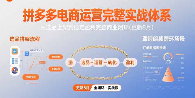 拼多多电商运营完整实战体系，从选品上架到稳定盈利完整商业闭环(更新8月-项目网