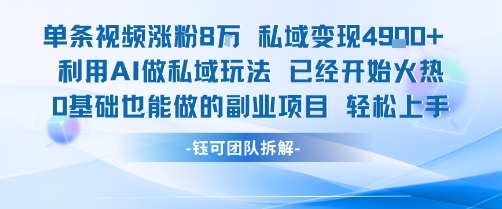 单条视频私域变现4.9k+利用AI做私域玩法 已经开始火热0基础也能做的副业项目轻松上手-项目网