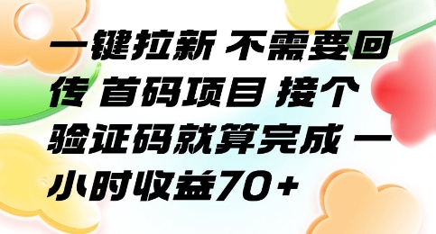 一键拉新 不需要回传 首码项目 接个验证码就算完成 一小时收益70+【揭秘】-项目网