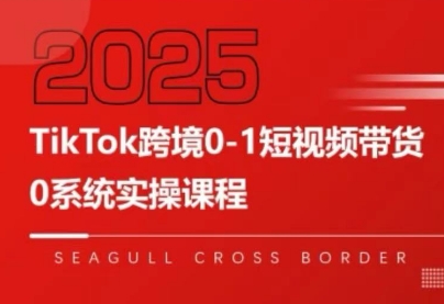 大亿老师·TikTok跨境0-1短视频带货-项目网