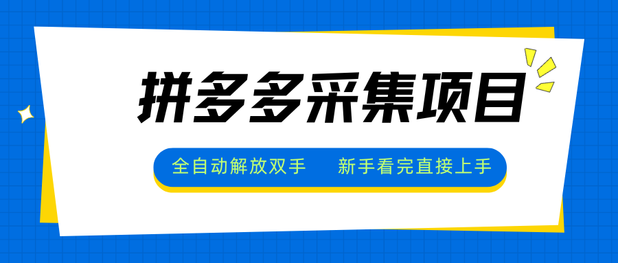拼多多采集项目，全自动解放双手，单号日入30+-项目网