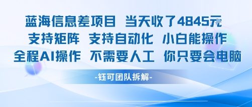 蓝海信息差项目当天收米1k+ 支持矩阵支持自动化小白能操作全程AI操作不需要人工你只要会电脑-项目网