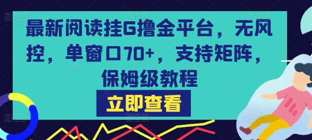 最新阅读挂G撸金平台，无风控，单窗口70+，支持矩阵，保姆级教程【揭秘】-项目网