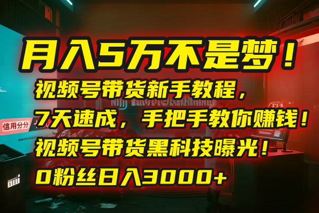 月入5万不是梦！视频号带货新手教程，7天速成，手把手教你赚钱！视频号…-项目网