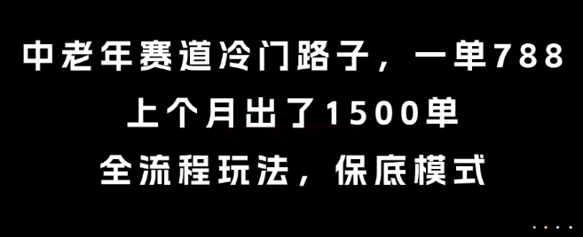 中老年赛道冷门路子，一单788，上个月出了1500单，全流程玩法，保底模式【揭秘】-项目网