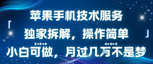 苹果手机技术服务，独家拆解，操作简单，小白可做，月过1W不是梦-项目网