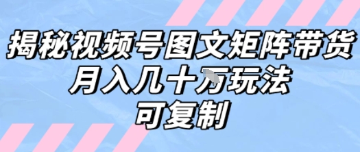 解密视频号图文矩阵带货，月入几个W的打法，可复制-项目网