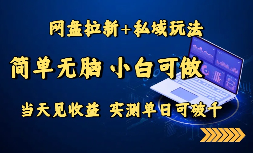 网盘拉新+私域玩法，简单无脑，小白可做，当天见收益，实测单日可破千-项目网