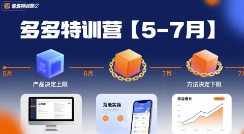 多多特训营【5-7月】产品决定上限，方法决定下限，各种玩法技巧落地实操-项目网