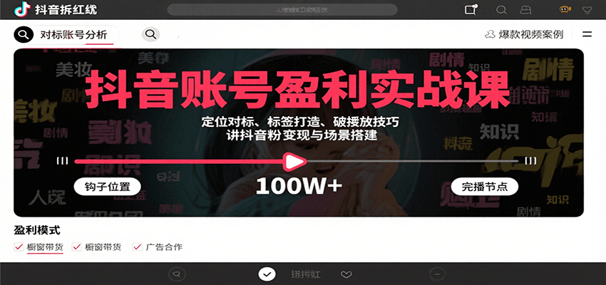 抖音账号盈利实战课，定位对标、标签打造、破播放技巧，讲涨粉变现与场景搭建-项目网