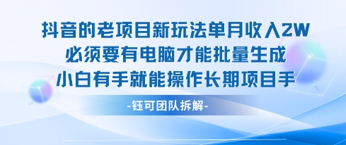 老项目新玩法单月收入2W小白有手就能操作长期项目-项目网