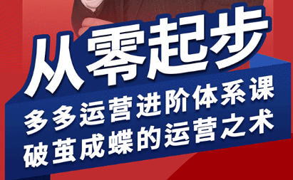 海神·拼多多运营进阶系统课(更新8月)-项目网