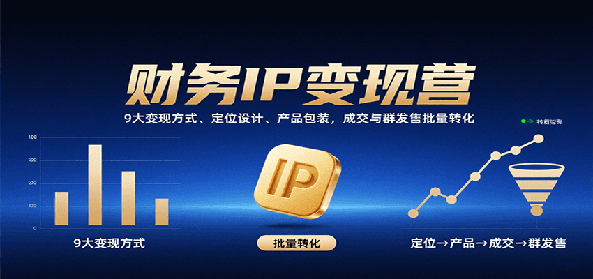 财务IP变现营：9大变现方式、定位设计、产品包装，成交与群发售批量转化-项目网