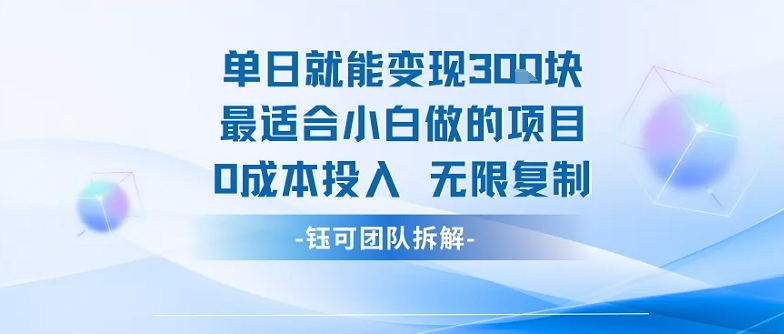 单日就能变现3张最适合小白做的项目0成本投入 无限复制-项目网