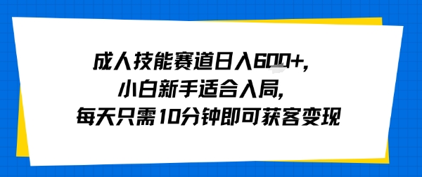 成人技能赛道日入多张，小白新手适合入局，每天只需10分钟即可获客变现-项目网