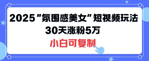 不露脸也能火！2025“氛围感美女”短视频玩法，30天涨粉5W小白可复制-项目网