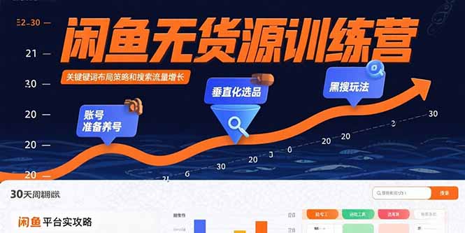 闲鱼无货源训练营：账号准备养号/垂直化选品/黑搜玩法，0基础30天盈利指南-项目网