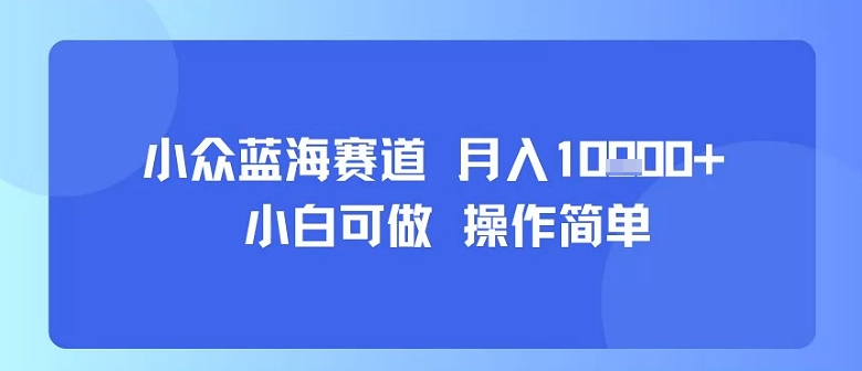 小众蓝海赛道，小白可做，操作简单，每天30分钟，月入1W+-项目网