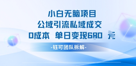 小白无脑项目公域引流私域成交0成本单日变现680米-项目网