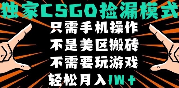 CSGO自动捡漏项目，最新独家玩法，不是美区搬砖，不需要了解和玩游戏，新手小白轻松月入1W+【揭秘】-项目网