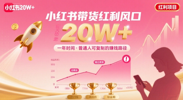 一年时间靠小红书带货项目年入20w+，最不能错的大红利项目-项目网