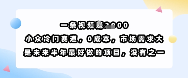 一条视频挣1k，小众冷门赛道，0成本，市场需求大，是未来半年最好做的项目，没有之一-项目网