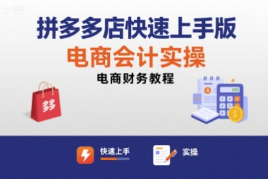 拼多多店快速上手版电商会计实操-电商财务教程-项目网