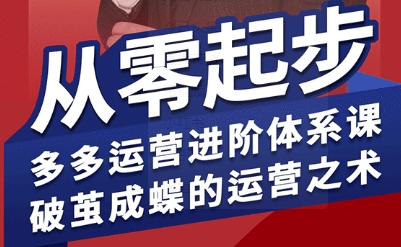 拼多多运营进阶系统课，从零起步，多多运营进阶体系课，破茧成蝶的运营之术-项目网