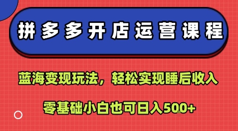 拼多多开店运营课程：蓝海变现玩法，轻松实现睡后收入，零基础小白也可日入5张-项目网