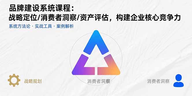 品牌建设系统课程：战略定位/消费者洞察/资产评估，构建企业核心竞争力-项目网