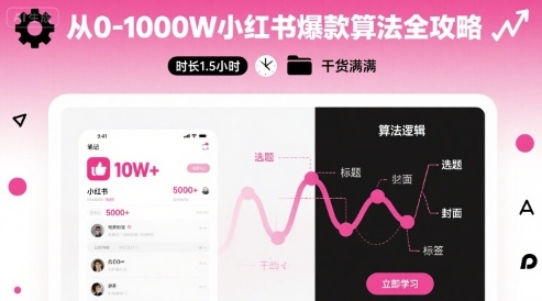 从0-1000W小红书爆款算法全攻略，时长1.5小时，干货满满-项目网