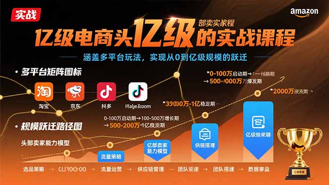 亿级电商头部卖家的实战课程：涵盖多平台玩法，实现从0到亿级规模的跃迁-项目网